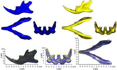 A Novel Method to Detect 3D Mandibular Changes Related to Soft-Diet Feeding